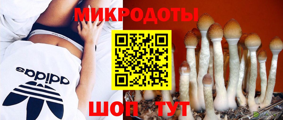 Новозыбков  Галлюциногенные грибы MAGIC MUSHROOMS  Вход с VPN 