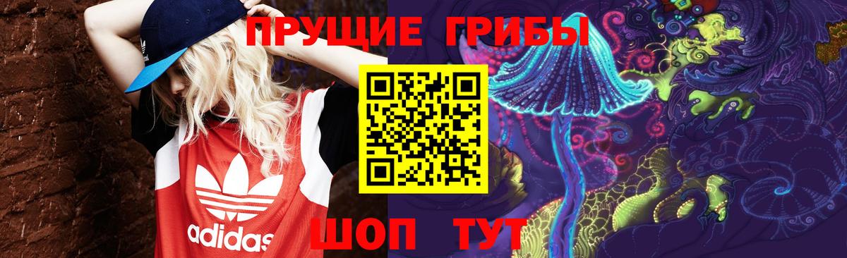 COCAIN Новозыбков