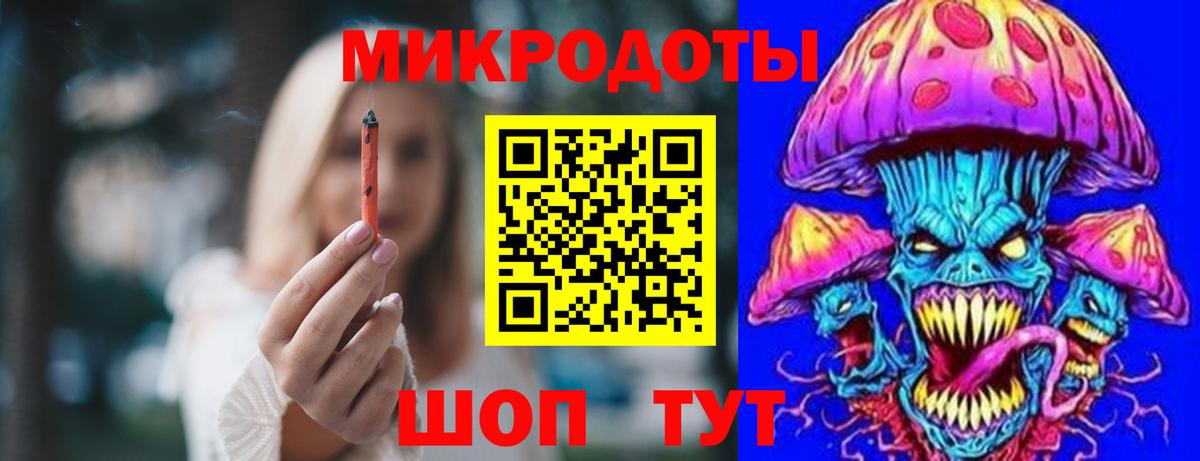 Псилоцибиновые грибы Cubensis Новозыбков